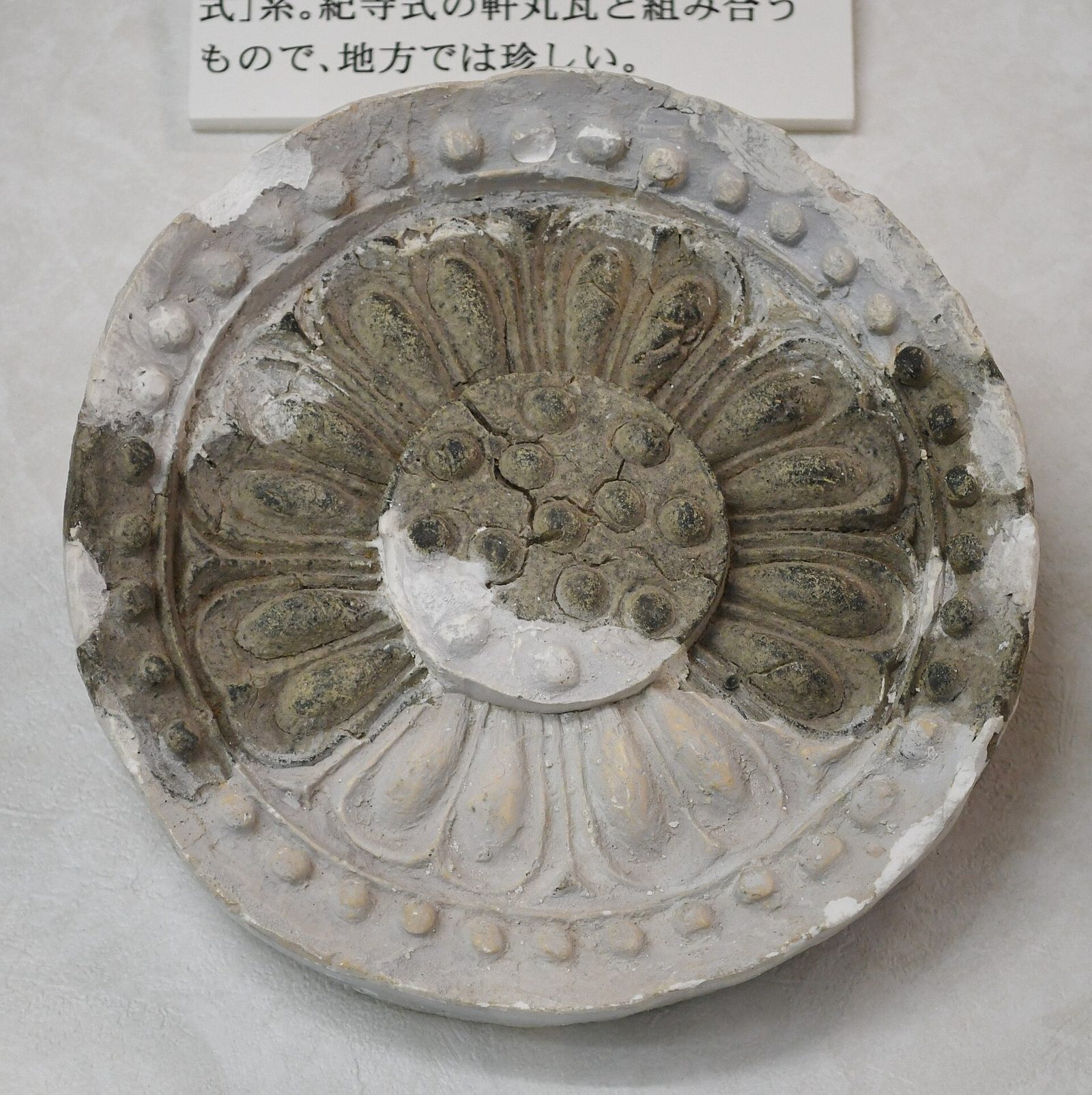鳥取県立博物館の所要時間と回り方｜常設展は3展示室