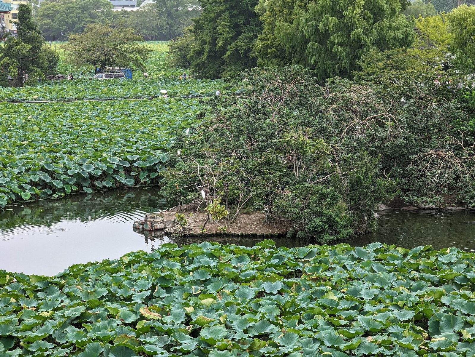 上野動物園の所要時間と回り方｜公式目安2〜3時間・授乳室3ヵ所