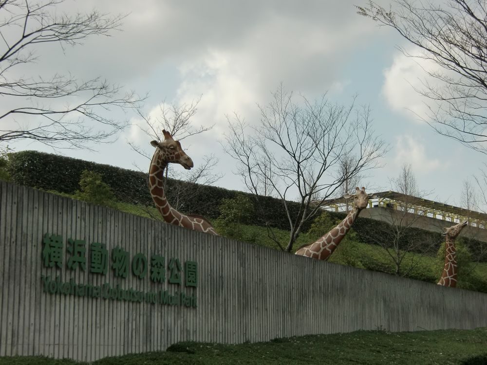 よこはま動物園ズーラシアの所要時間と回り方｜北門ルートを使うか正門周回か