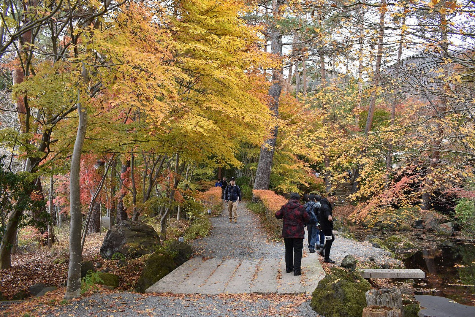 久保田一竹美術館の所要時間と回り方｜12月は16時最終入館