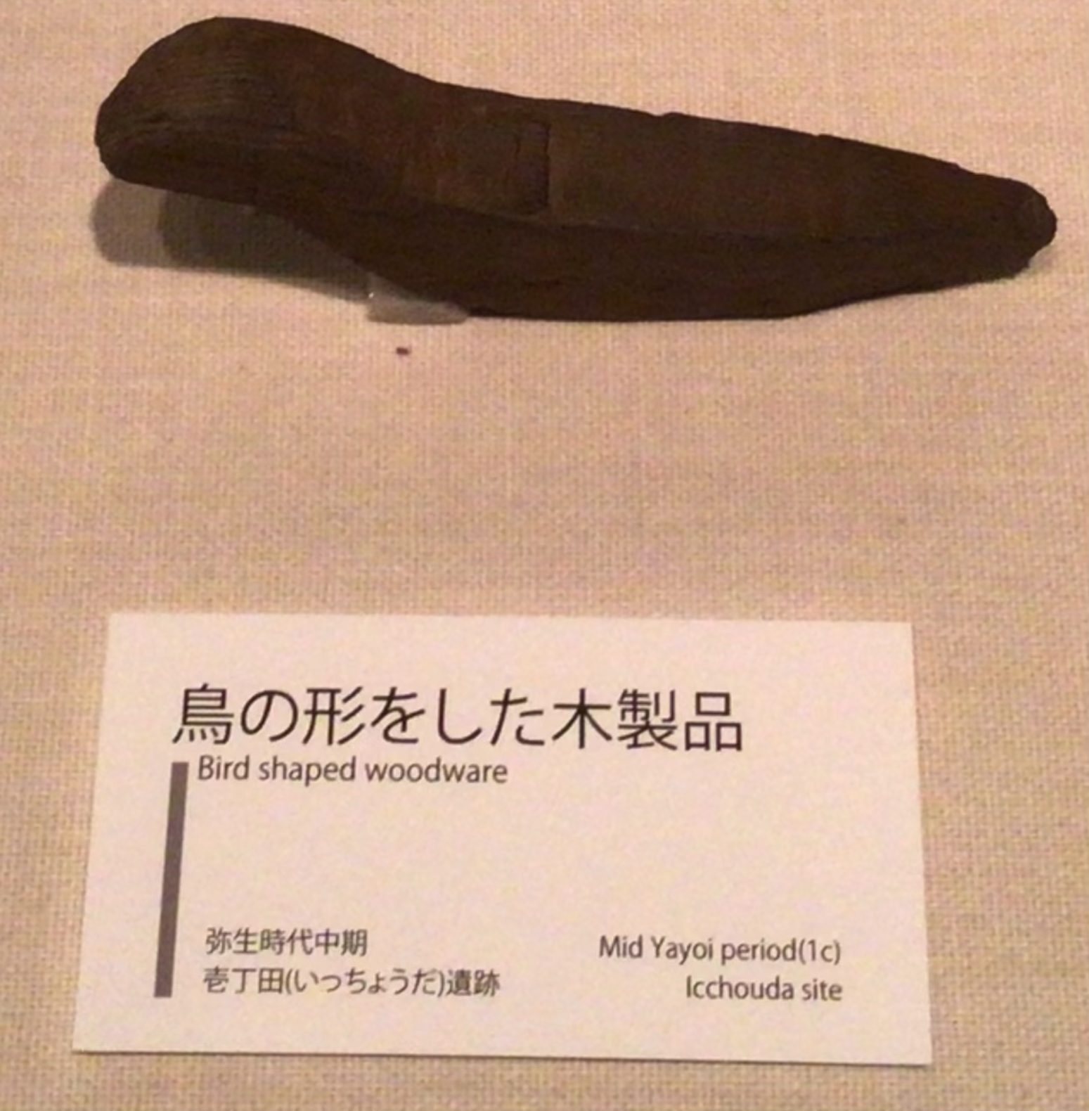 出雲弥生の森博物館の所要時間と回り方｜30〜40分の目安