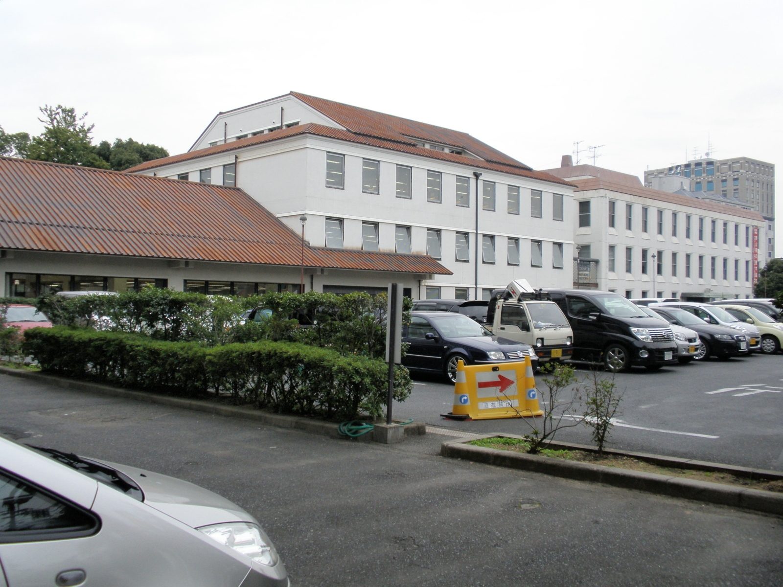 倉敷市立自然史博物館の所要時間と回り方｜約1時間・子連れ設備