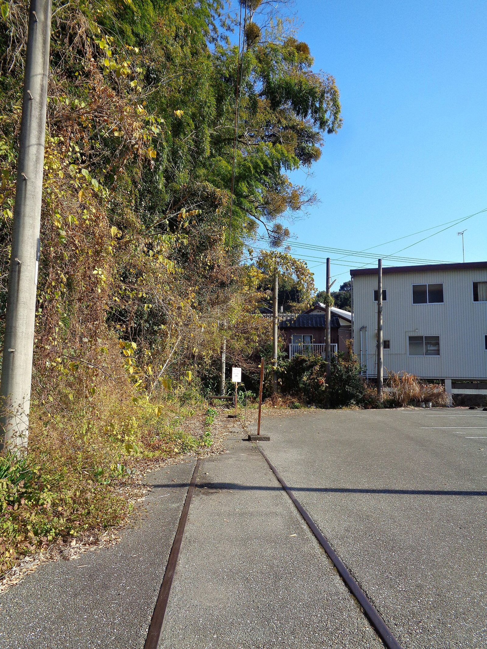 伊野へ車なしで行く｜はりまや橋発の路面電車と全線1日券の選び方
