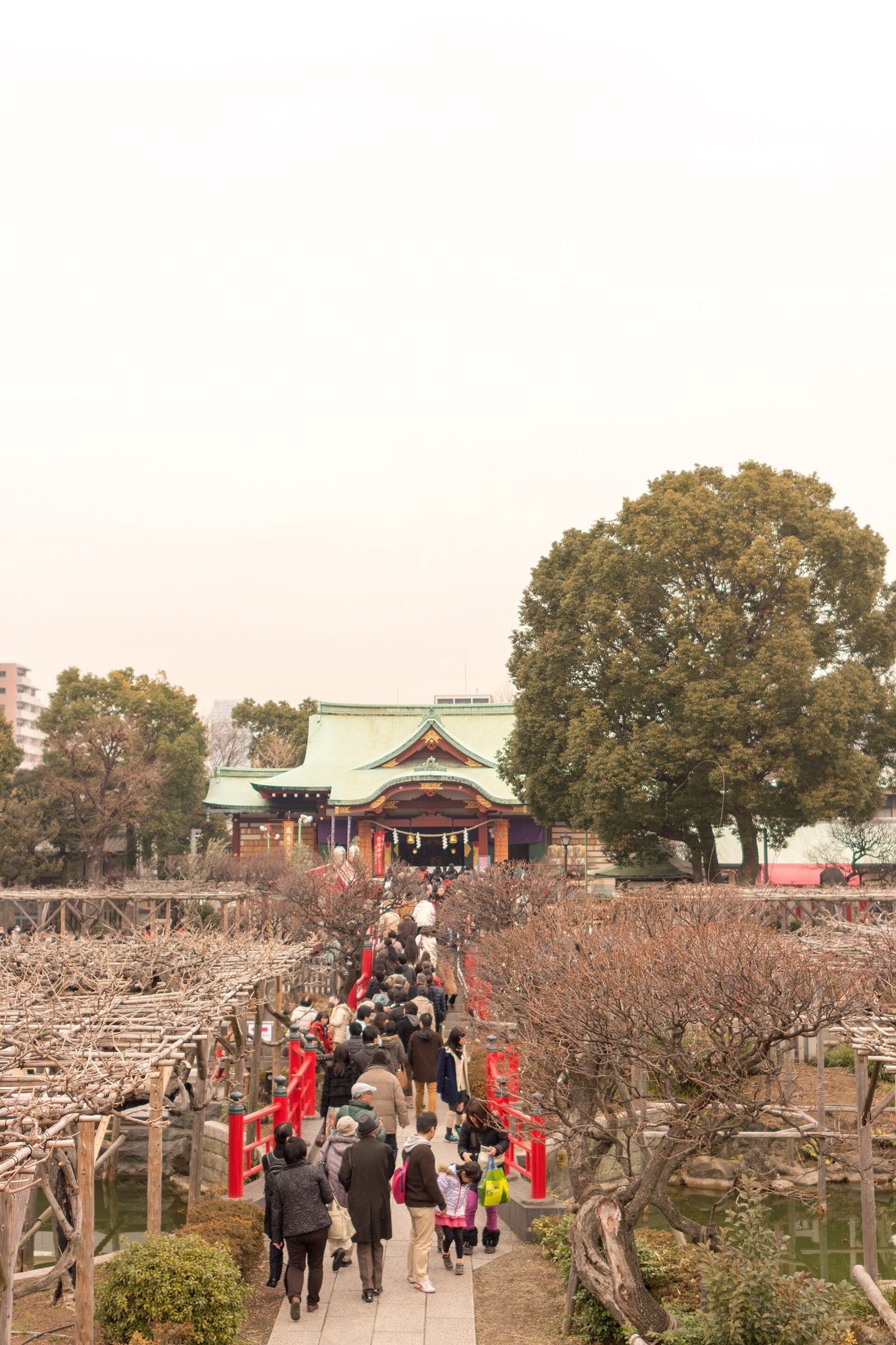 亀戸天神社へ車なしで行く｜亀戸・錦糸町駅から徒歩15分の参拝